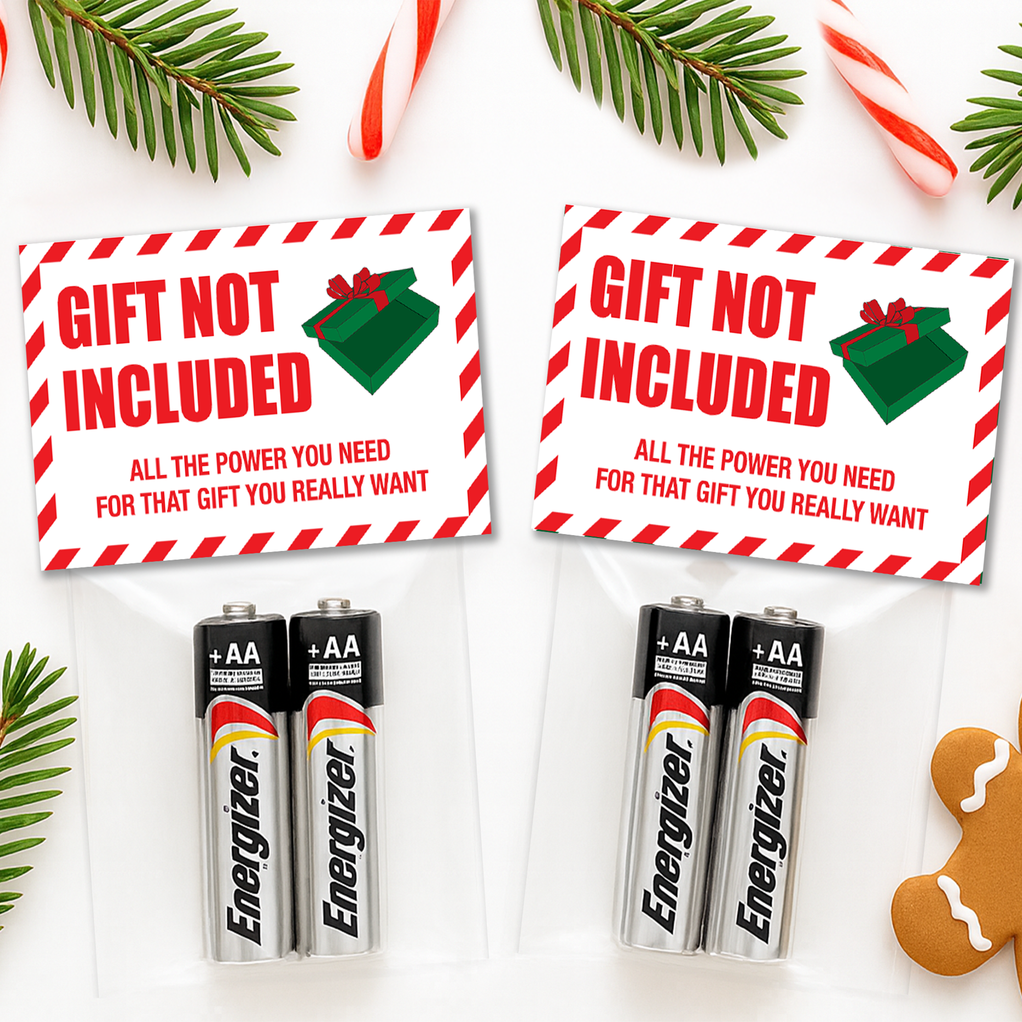 Gift Not Included Stocking Stuffer